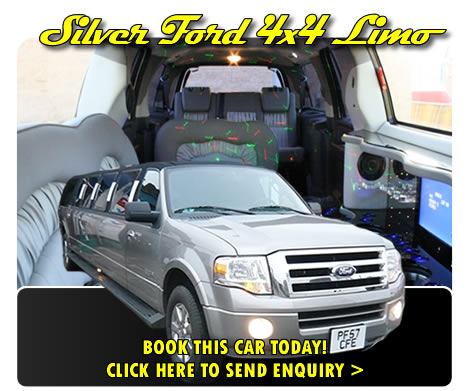 Silver Ford